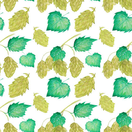 Watercolor, colorful, seamless pattern with hop sprig and cones on a white background. Pattern for St. Patricks Day.の写真素材