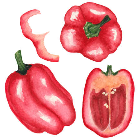 Watercolor bright collection of vegetables, red bell pepper in different positions, cut, slice isolated on white background.の写真素材