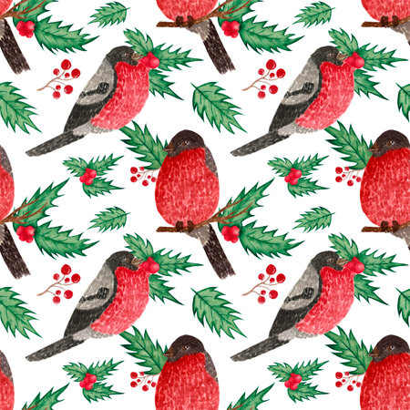 Watercolor pattern, bright birds bullfinches, holly, red berries on a white background. Winter pattern for various products.の写真素材