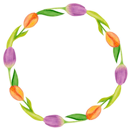 Botanical illustration, wreath with watercolor tulips on a white background. Frame for invitations, greetings, women's day, mother's day etc.の写真素材