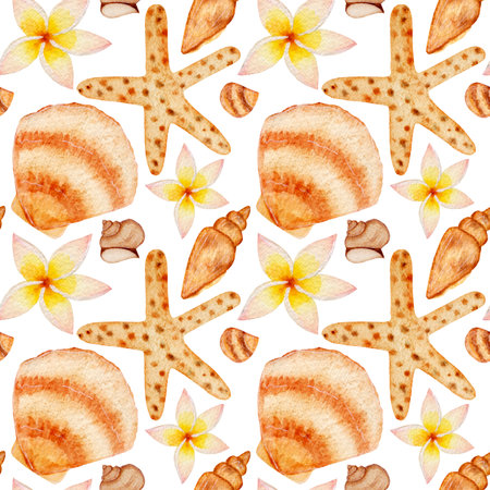 Watercolor sea pattern with seashells, plumeria flower and sea star on white background. Pattern for various summer products, wrapping paper etc.の写真素材