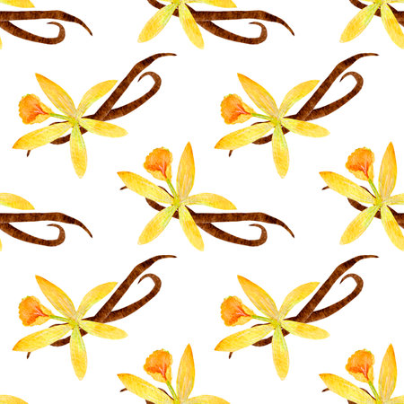 Colorful watercolor pattern, vanilla flowers and sticks on a white background. For wrapping, various products, etc.の写真素材