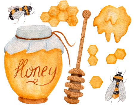 Watercolor collection, honey jar, honey comb, bees, honey tool and simple lettering isolated on white background. For various food products, card etc.の写真素材