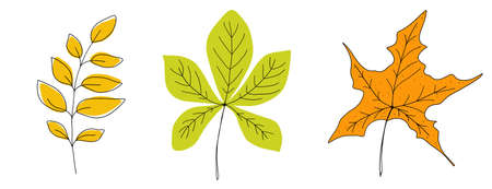 Leaves set. Isolated hand drawn illustration, doodles style on white backgroundの写真素材
