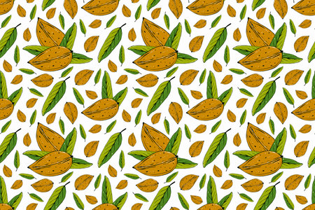 Fruit seamless pattern. Hand drawn illustration. Food backgroundの写真素材