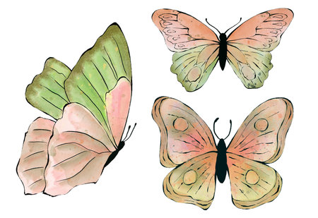 Set of watercolor Butterfly. Colorful Butterflies clipart. Hand drawn illustration for Baby shower, Wedding invitation, greeting card, isolated on white backgroundの写真素材