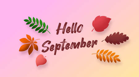 Hello september background illustration vector. Happy summer day illustration vectorのイラスト素材