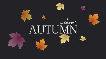 Welcome autumn background illustration vector. Welcome autumn web banner and flyer