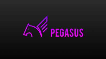 Pegasus Logo Concept Vector. Animal Logo Template Vectorのイラスト素材