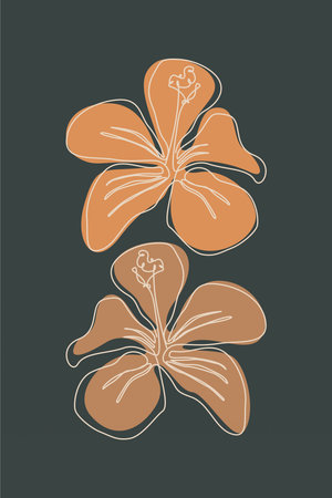 Modern boho floral illustration featuring hand-drawn line art flowers over abstract organic shapesのイラスト素材