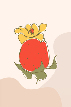 Modern boho floral illustration featuring hand-drawn line art flowers over abstract organic shapesのイラスト素材