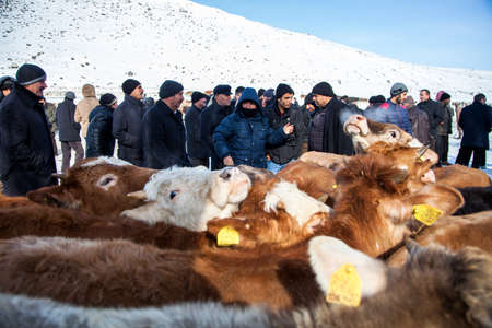 Kars,Turkey - 01/26/2016: Buyers and sellers are negotiating in the livestock marketのeditorial素材