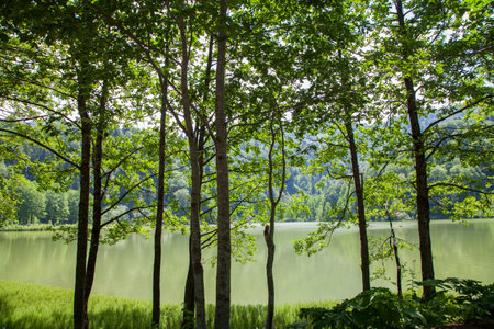 Borcka Black Lake is in Artvin city.の写真素材