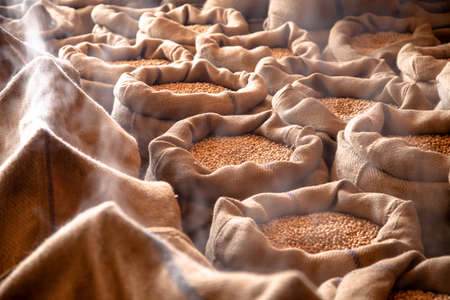 Roasted chickpeas are resting in sackの写真素材