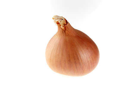 Fresh onion isolated on white backgroundの写真素材