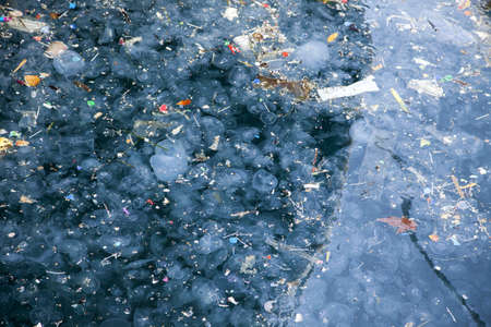 Jellyfish and waste.Marmara sea Istanbulの写真素材