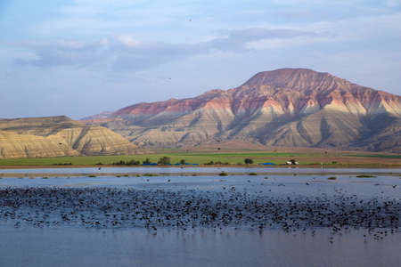 View of flock of birds on lake with colorful mountains,Nallihan districtの写真素材