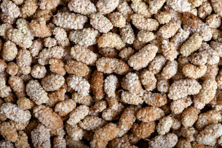 Dried mulberry fruits background and texture,top viewの写真素材