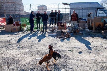 Istanbul,Turkey - 03-05-2017:Historical Byzantine walls and livestock market viewのeditorial素材