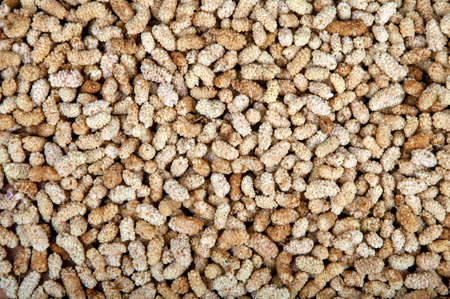 Dried mulberry fruits background and texture,top view