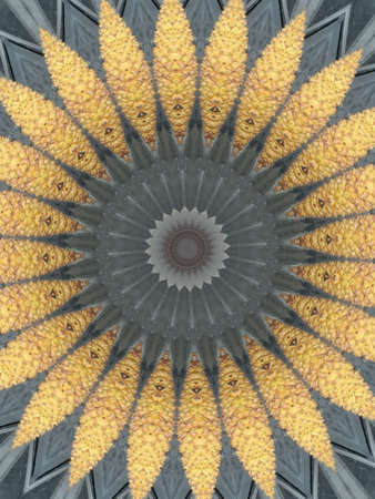 Abstract kaleidoscope background. Beautiful multicolor texture.の写真素材