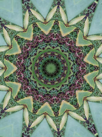 A very beautiful colorful kaleidoscopeの写真素材