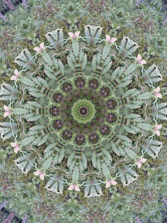 A very beautiful colorful kaleidoscopeの写真素材