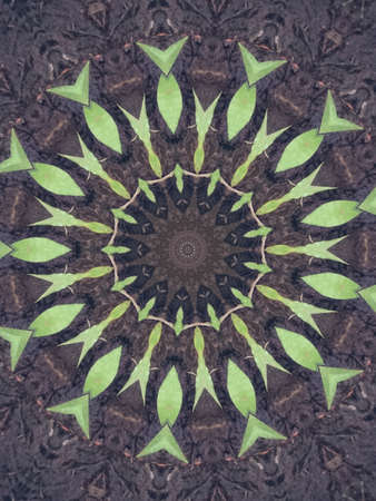 A very beautiful colorful kaleidoscopeの写真素材