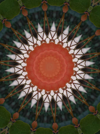 A very beautiful colorful kaleidoscopeの写真素材