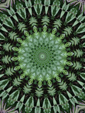 A very beautiful colorful kaleidoscope