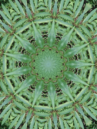 A very beautiful colorful kaleidoscopeの写真素材