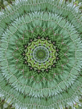 A very beautiful colorful kaleidoscopeの写真素材