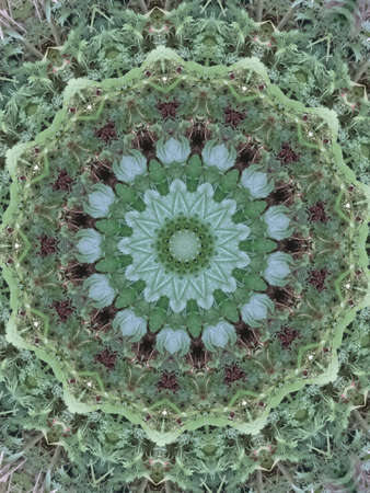 A very beautiful colorful kaleidoscopeの写真素材