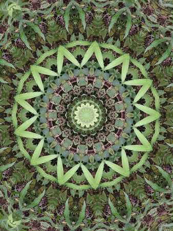A very beautiful colorful kaleidoscopeの写真素材