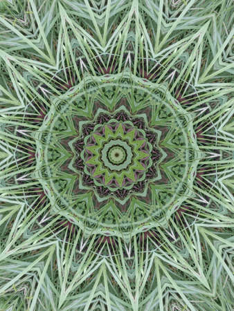 A very beautiful colorful kaleidoscopeの写真素材