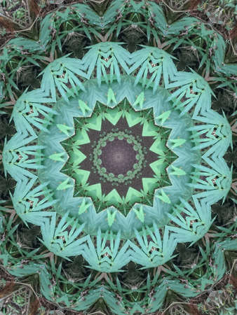 A very beautiful colorful kaleidoscope