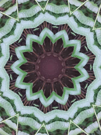 A very beautiful colorful kaleidoscope