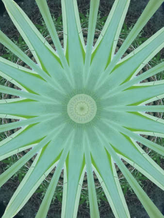 A very beautiful colorful kaleidoscope