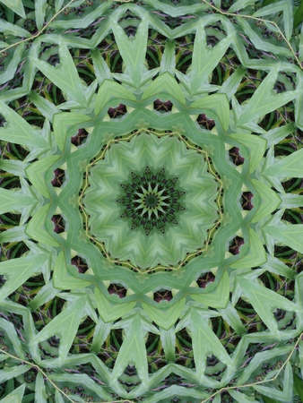 A very  beautiful colorful kaleidoscopeの写真素材