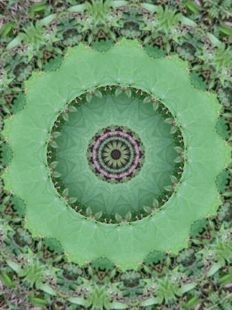 A very beautiful colorful kaleidoscopeの写真素材