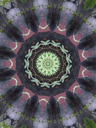 A very beautiful colorful kaleidoscopeの写真素材