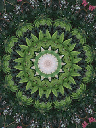 A very beautiful colorful kaleidoscopeの写真素材