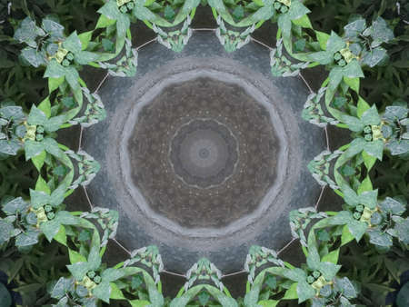 A very beautiful colorful kaleidoscope