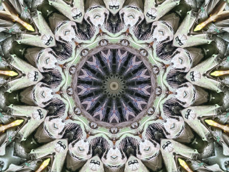 A very  beautiful colorful kaleidoscope