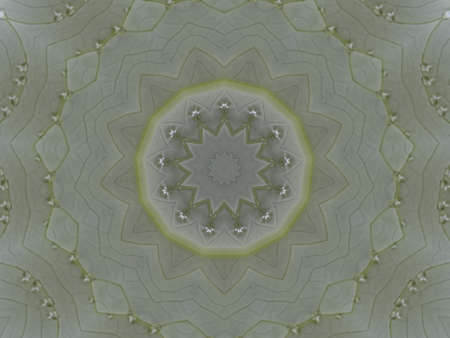 A very  beautiful colorful kaleidoscope