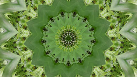 Very cool abstract background. Suitable for wallpaper, background, and so on.の写真素材