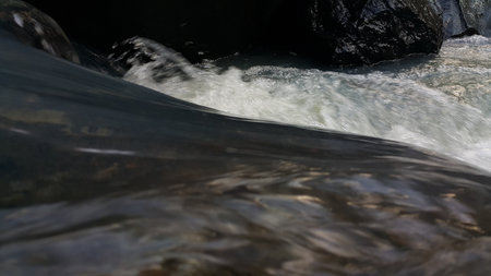 Photo of cold river water in the forest. Unspoiled water.の写真素材