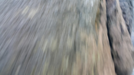 Photo of cold river water in the forest. Unspoiled water.の写真素材