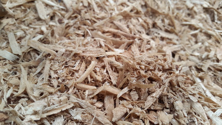 Close-up view of the sawdust layer of a freshly sawed tree. Sawmill waste is used for heating. Shot in jungle.の写真素材