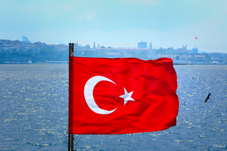 turkeyの写真素材